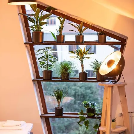 Apartman Hoblina Gallery