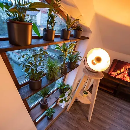 Apartment Apartman Hoblina Gallery Kosice